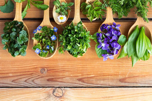 what is naturopathy