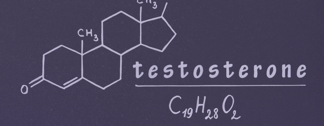 testosterone