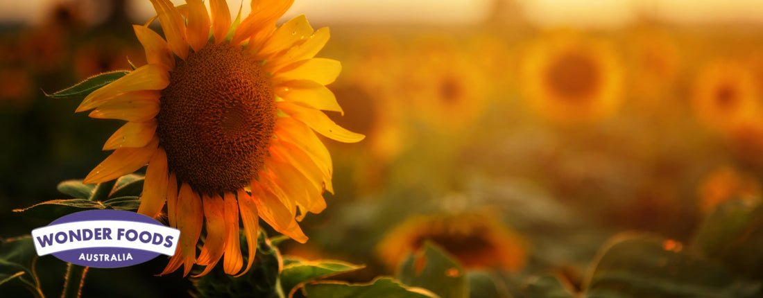 best sunflower lecithin for breastfeeding