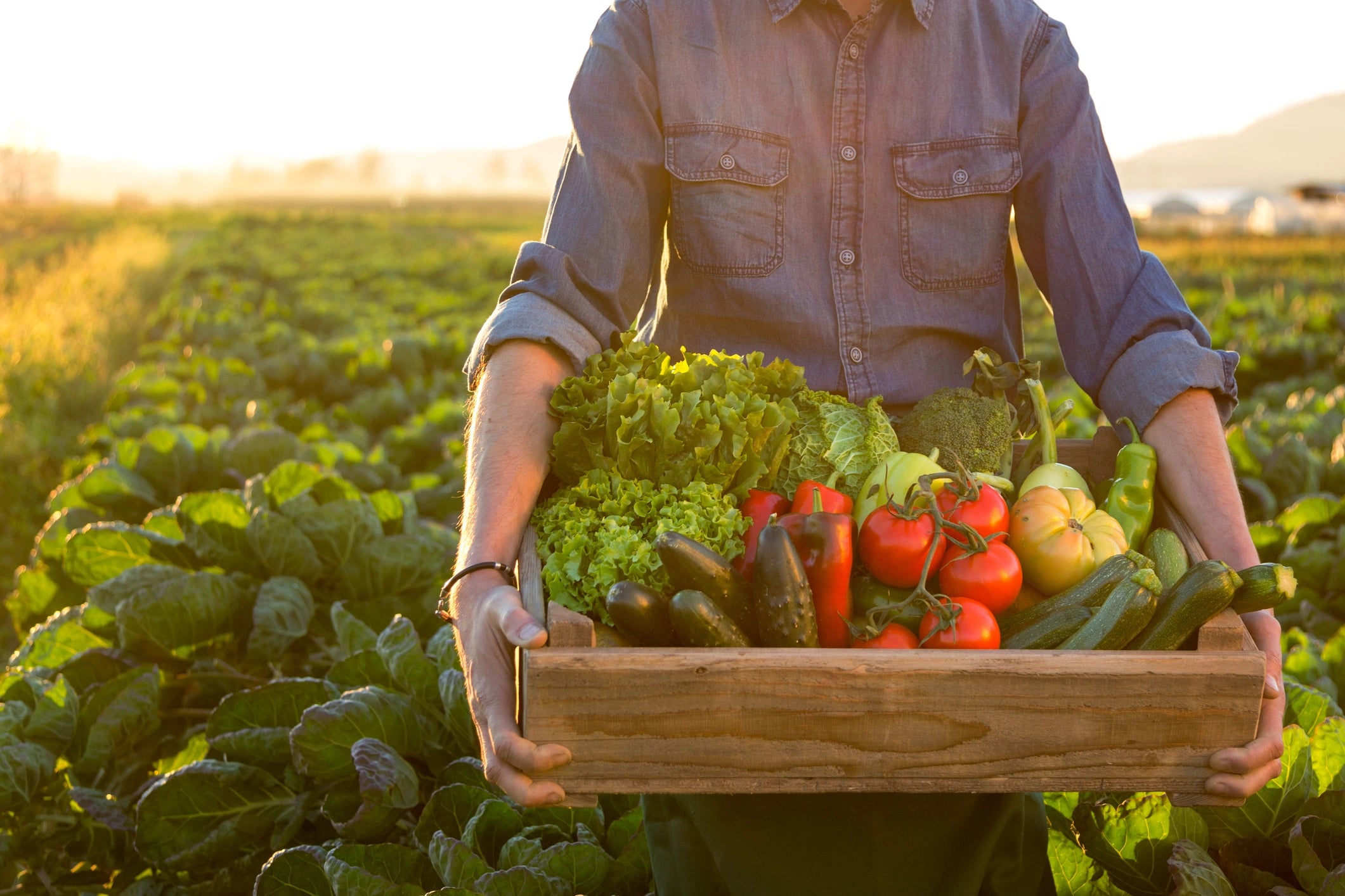 Box of Fresh Vegetables