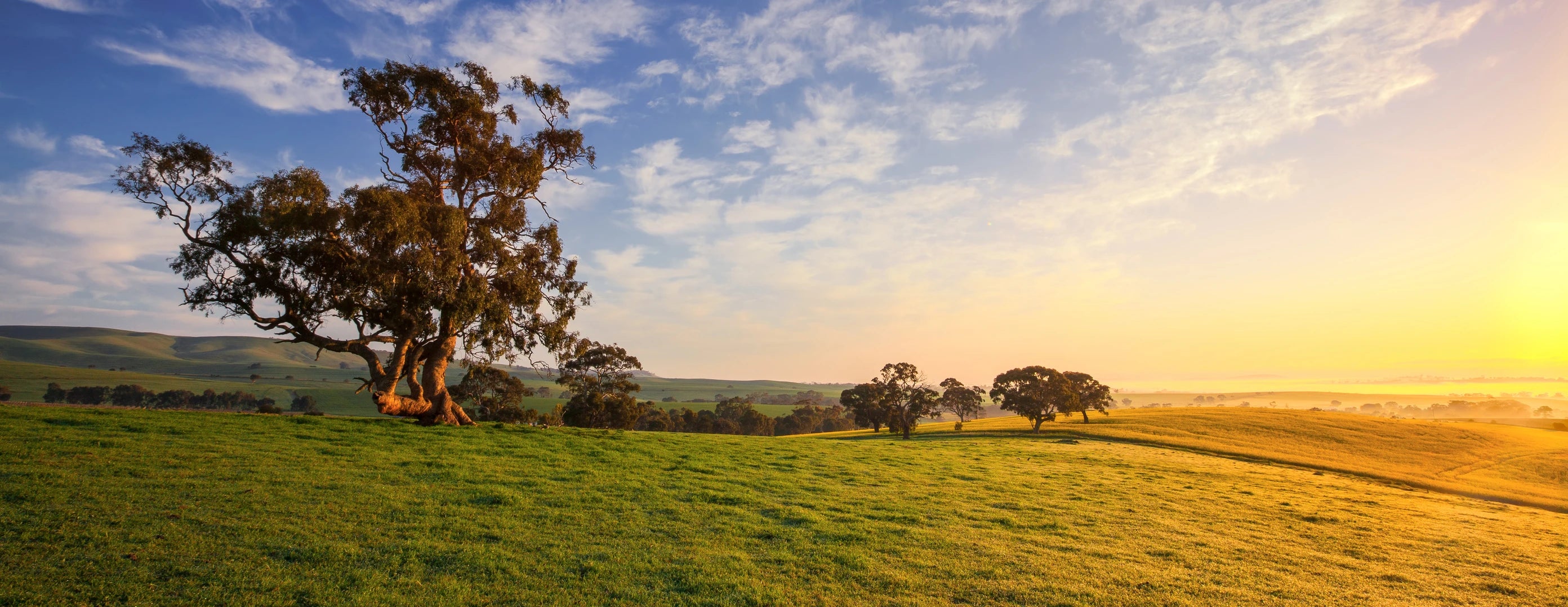 Outlook of farmland at sunset