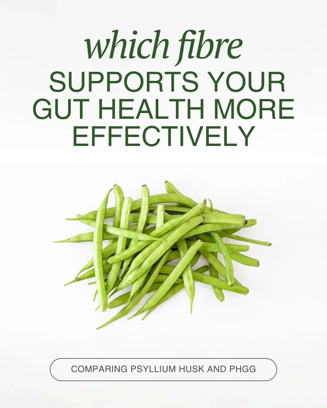 psyllium husk phgg