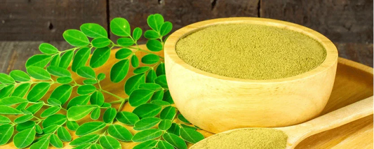 benefits of moringa powder
