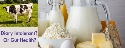 dairy intolerance gut health