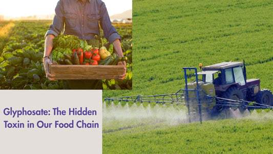 Glyphosate Exposure: Attacking your Gut Health