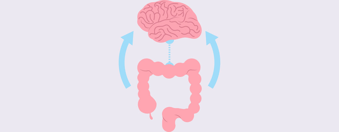 gut brain connection