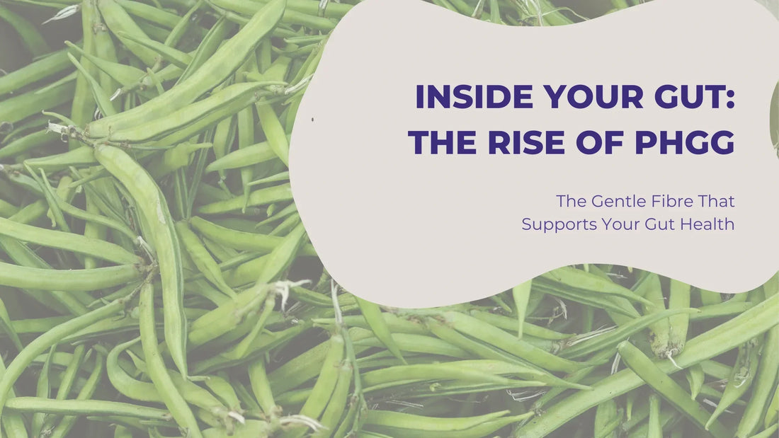 PHGG gut health blog banner showing fresh green guar beans with the text 'Inside Your Gut: The Rise of PHGG – The Gentle Fibre That Supports Your Gut Health