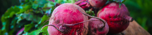 Beetroot: 5 Reasons Everyone Should Supplement