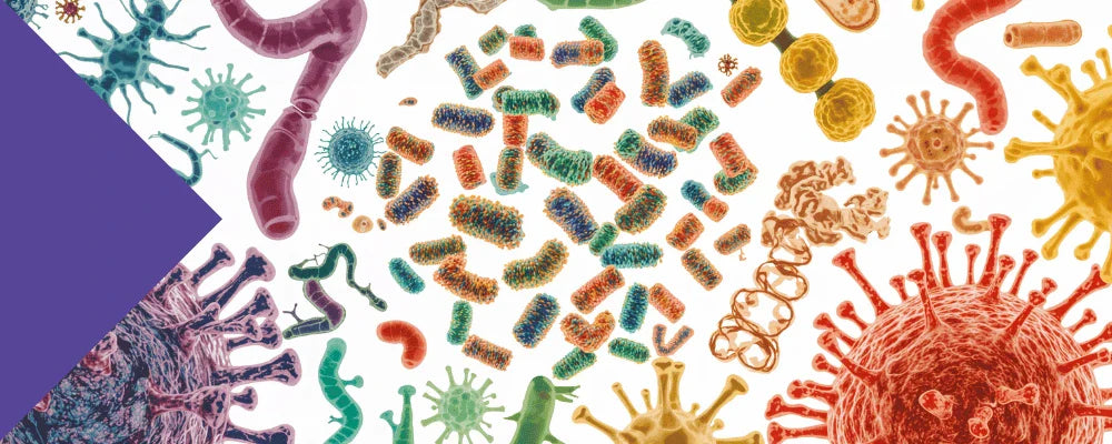 Best Time to Take Inulin Powder: A Complete Guide for Every Health Goal