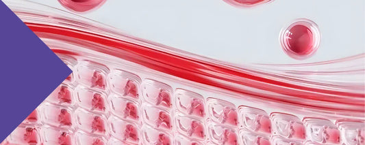 Collagen Beauty Boost Benefits: Science, Marine Collagen & Youthful Skin