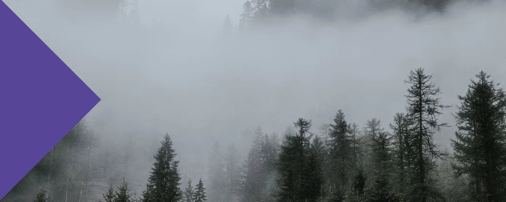 creatine for brain fog