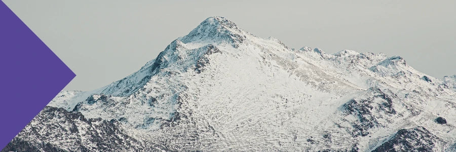 fulvic acid chronic disease