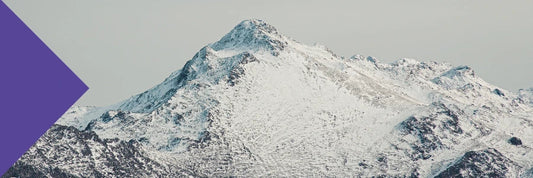 fulvic acid chronic disease