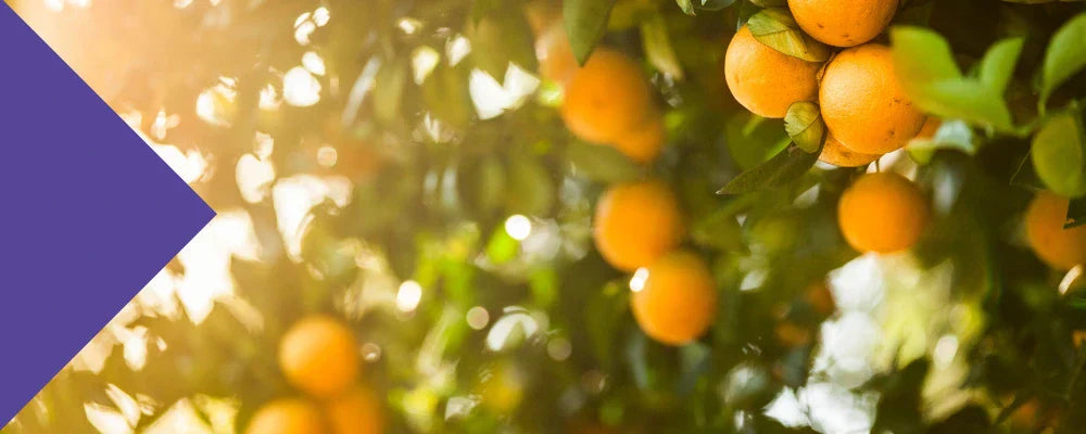 benefits of hesperidin